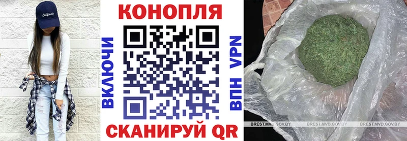 Купить закладки  Темрюк  Шишки марихуана Ganja 